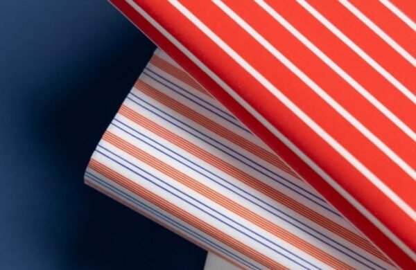 Untitled design (54)